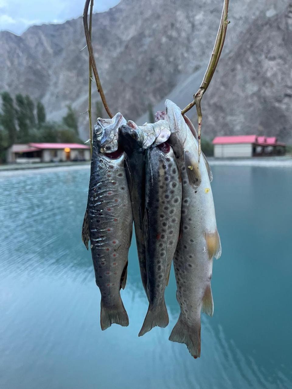 Dream Nest Resorts Skardu Eksteriør billede